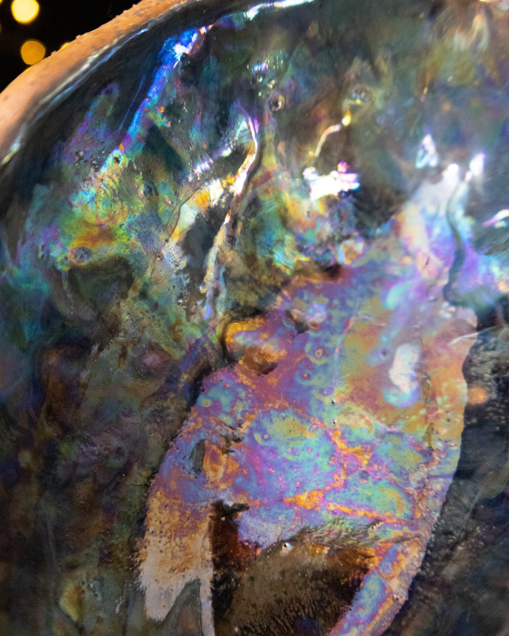 Close detail of the iridescent seam running down a ceramic seed pod