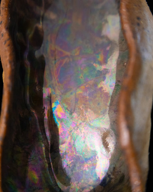 Close detail of silver-green and violet luster inside a ceramic seed pod
