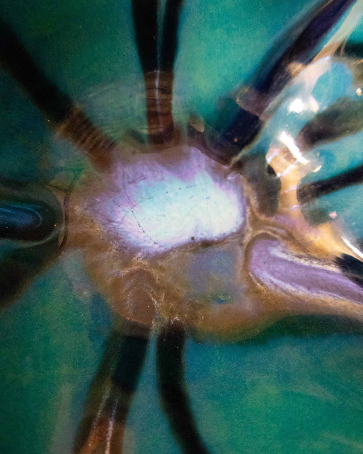 Close detail of the pale centre of a green lusterware bloom